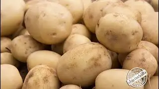 Hesham ElNaggar Presents Daltex Corporation, The Largest Exporter of Potatoes Globally