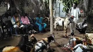 తాన్ని మల్లేషు గురువు గారు, నూకలాడ(గ్రామం) గావు,విజయనగరం ,జిల్లా,  24/03/25,