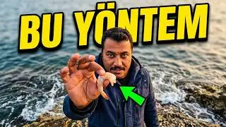 Karag&ouml;z Nasıl Yakalanır P&uuml;f Noktalar Karag&ouml;z Balığı Nerede Olur Av Zamanları, Yemler ve Davranışları