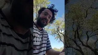 Individuation beyond  subjective conscious awareness