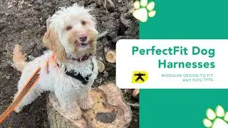 PerfectFit Dog Harness