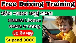 Odisha Government Offers FREE Driving Training at These Centers