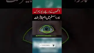 NADRA Introduces Eye-scanning Identification System #Shorts