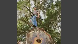 Majestic Log