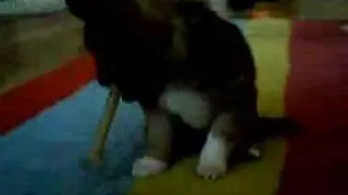 Keeffer