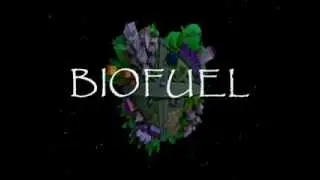 BIOFUEL - BIODIESEL - green energy