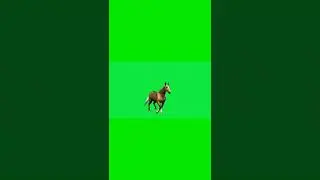 Green screen Horse Animation video Non copy  right I#shorts