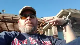 SHTF Garden prepping. Less thought about preps