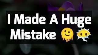 Dm to DF 🫠😇🌹 || I Made A Huge Mistake 🫠😶&zwj;🌫️🌹💕💌 || Love Letter💌🥰🫂