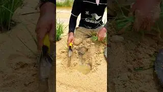 finding gold under the grass roots #gold #goldcollector #golddigging