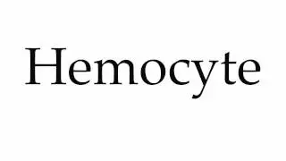 How to Pronounce Hemocyte