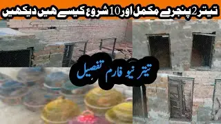 teetar setup | teetar cage ready | white teetar setup new | teetar Breeding cageتیتروں کے پنجرے تیار