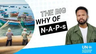 How National Adaptation Plans are protecting our planets future