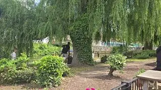 Daptune Bella - White House Pub - Guildford - River Wey - Surrey