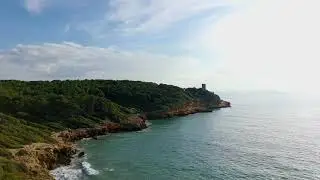 bosc de la marquesa   4K