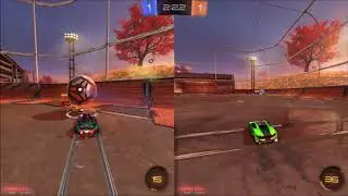 Nielskoek more like Nielspoep
