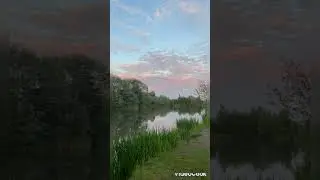 Это тихий, ясный летний вечер.It's a calm, clear summer night.
