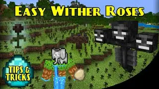 Easy WITHER ROSES | Minecraft Bedrock Tips & Tricks | MCPE XBOX PS SWITCH