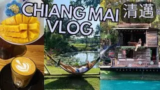 Chiang Mai Vlog🇹🇭Thai cooking class, cafe hopping, must-go brunch [清邁旅遊 自由行]