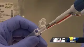 Biomarkers under research could predict COVID-19 symptom severity