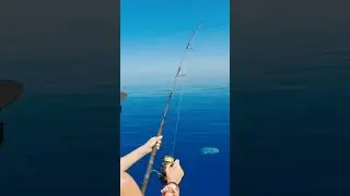 Fishing girl