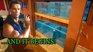 ALL NEW DESIGN...THIS WAS NOT IN THE PLANS!