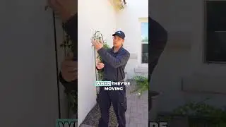 How to Keep Scorpions Out of Your Arizona Home | Monsoon Pest Control Tips