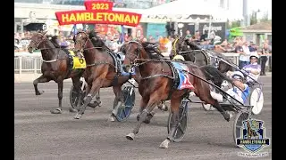 Tactical Approach & Scott Zeron wins Hambletonian 2023 ($1,000,000) in 1.50,3 at The Meadowlands.