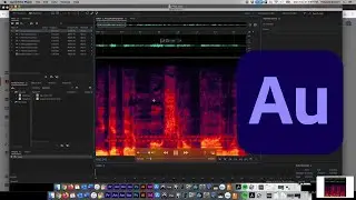 Adobe Audition audio restoration tutorials