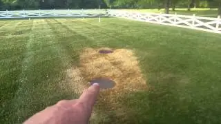 Problems with Brown Spots in Lawn Caused by a Shallow Root Zone