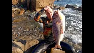 🎣 PESCASUB LAZIO GRANDE DENTICE A SANTA MARINELLA NEL BASSOFONDO 🎣