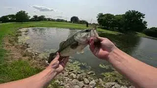 Ultra Light Bass Fishing Golf Course