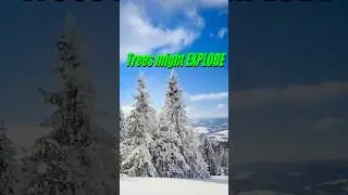 The Winter Storm can make Trees EXPLODE!? #news