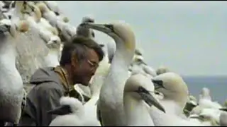 John Busby 'In Celebration' Nature in Art