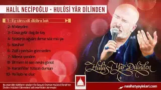 Halil Necipoğlu - Ey can u dil dildara bak
