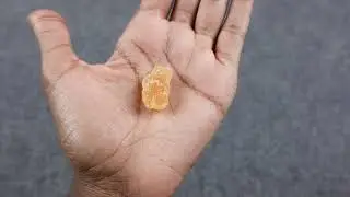 Digestive Advantage Probiotics Gummies Review | Do They Work?