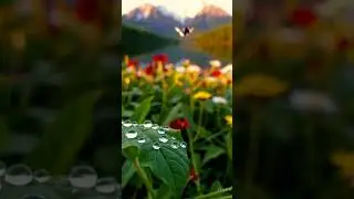 🦋 Soft Wings ♡ Gentle Bloom ♡ Nature&rsquo;s Whisper #natureswhisper #butterfly #viral  #lovenature