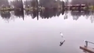 Real life chakra control