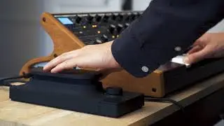 Touch&eacute; & Moog Sub 37 : 5th In Line