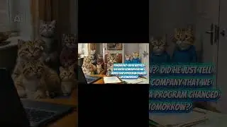 Nobody asked the tech cats!