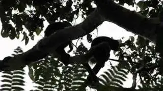 Movie Maker Ecuador