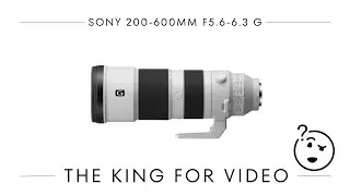 Sony 200-600mm for Video