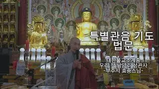 [관음기도] 기도의 정성을 삶의 수행으로 꽃피우는 시간 🙏 #남양주성관사 #관음기도 #일요법문 #일요일 #효중스님
