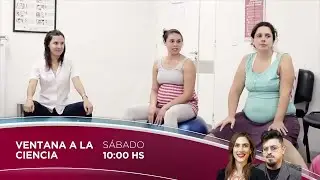 Ventana a la Ciencia en vivo. Programa del s&aacute;bado 31 de agosto de 2024