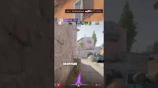Cyanoodle with the flickies