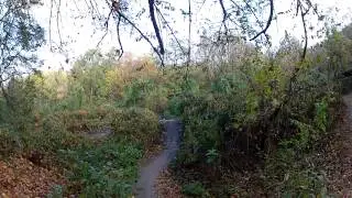 Freeride mountain biking at Teufelsberg Berlin, germany