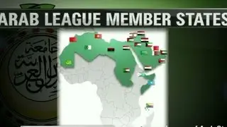 Arab League supports action in Syria