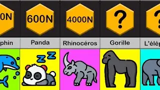 Comparaison: La puissance des animaux