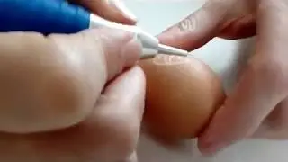 Easter Egg Decoration