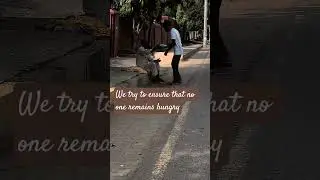We try to ensure that no one remains hungry | Pakistan Charity in Action | Kindness Forever #shorts